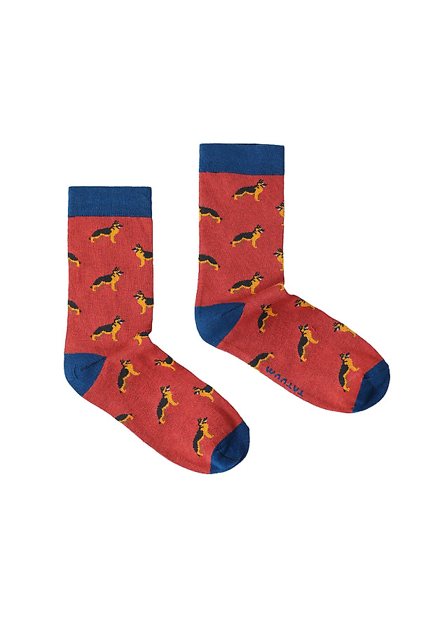 MEN'S SOCKS – AKITA MEN'S SOCKS – AKITA MULTICOLOR 1