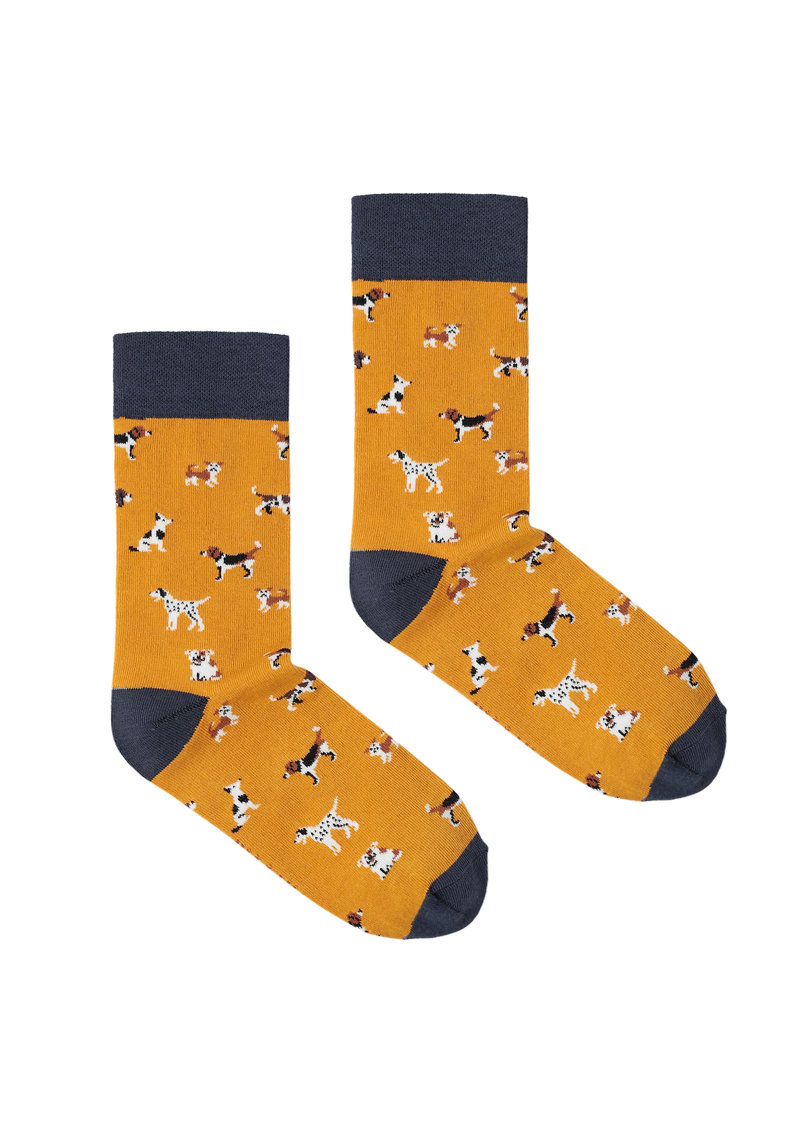 BAWEŁNIANE SKARPETKI MĘSKIE — DIGEMY BAWEŁNIANE SKARPETKI MĘSKIE — DIGEMY MULTIKOLOR 105986