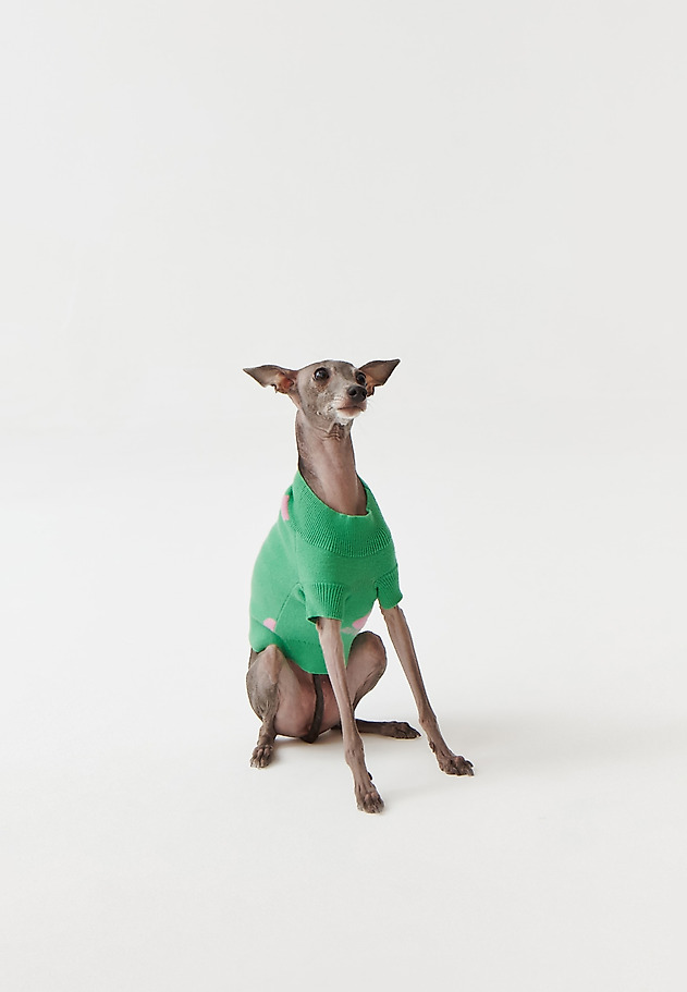 DOG JUMPER MANTI – DOGETHER DOG JUMPER MANTI – DOGETHER ZIELONY 3