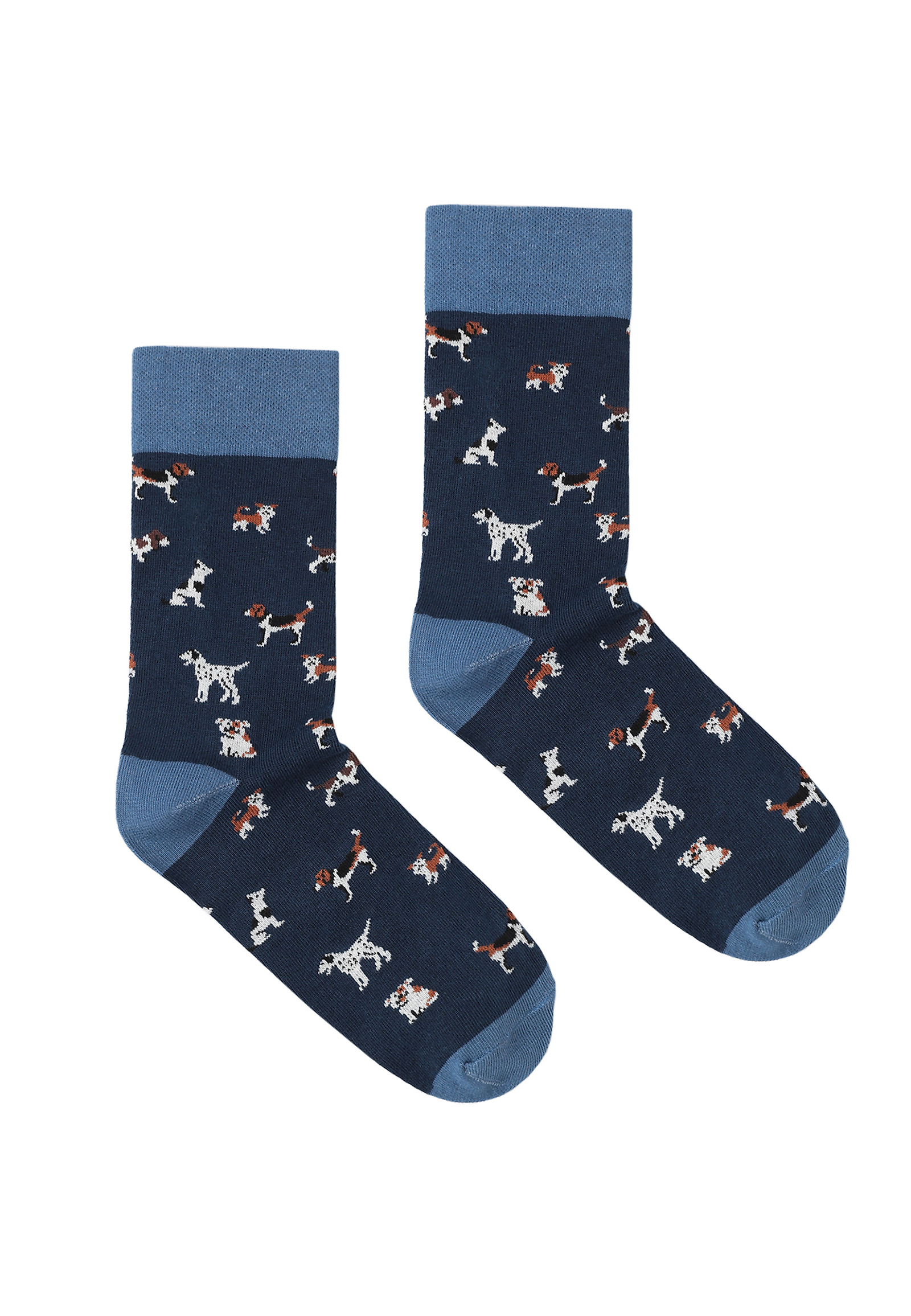 BAWEŁNIANE SKARPETKI MĘSKIE — DIGEMY BAWEŁNIANE SKARPETKI MĘSKIE — DIGEMY MULTIKOLOR 105988