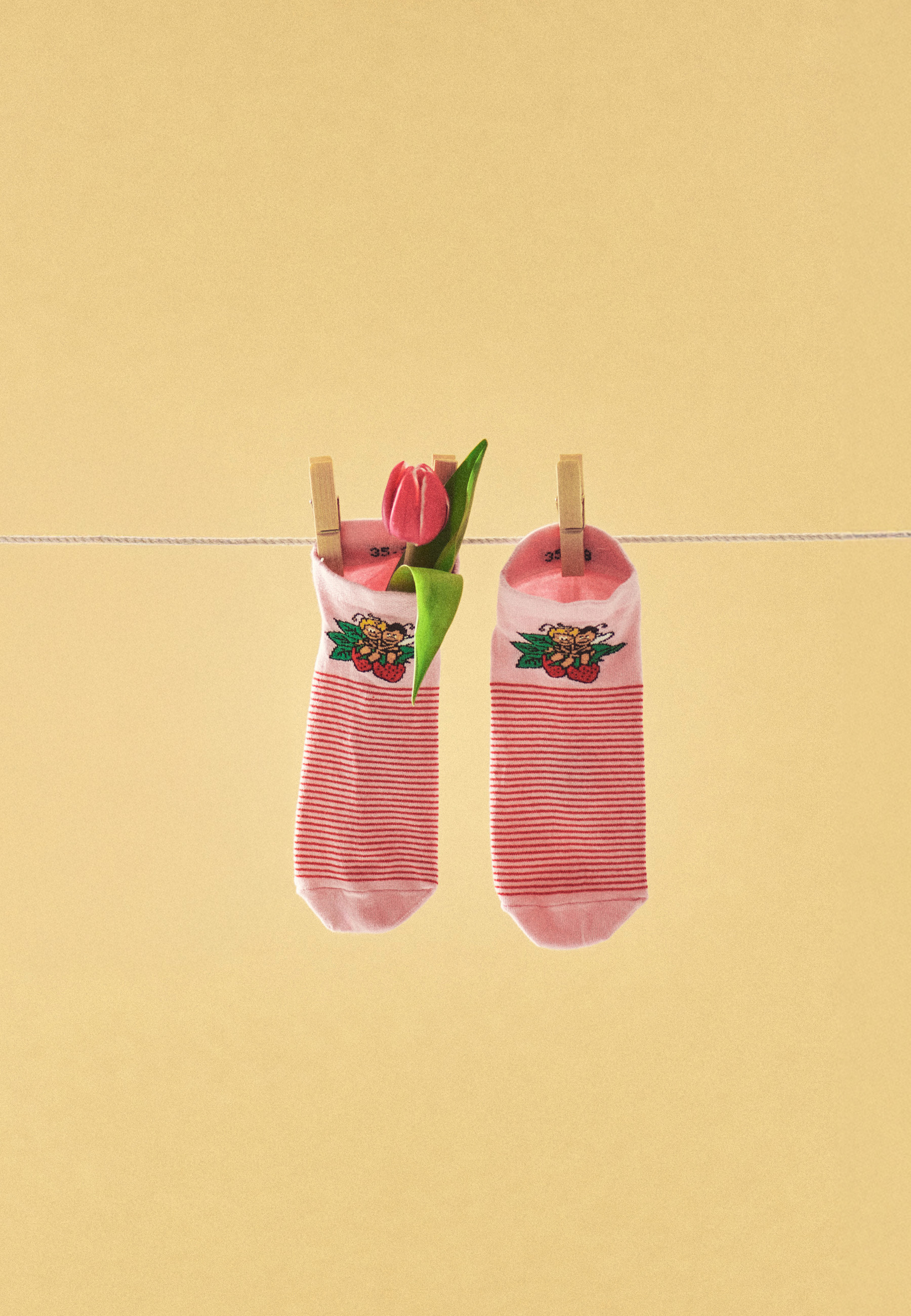 dámske ponožky DELLY 5