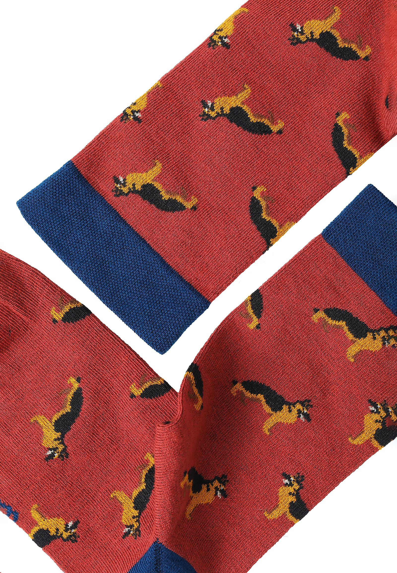 MEN'S SOCKS – AKITA MEN'S SOCKS – AKITA MULTICOLOR 104424