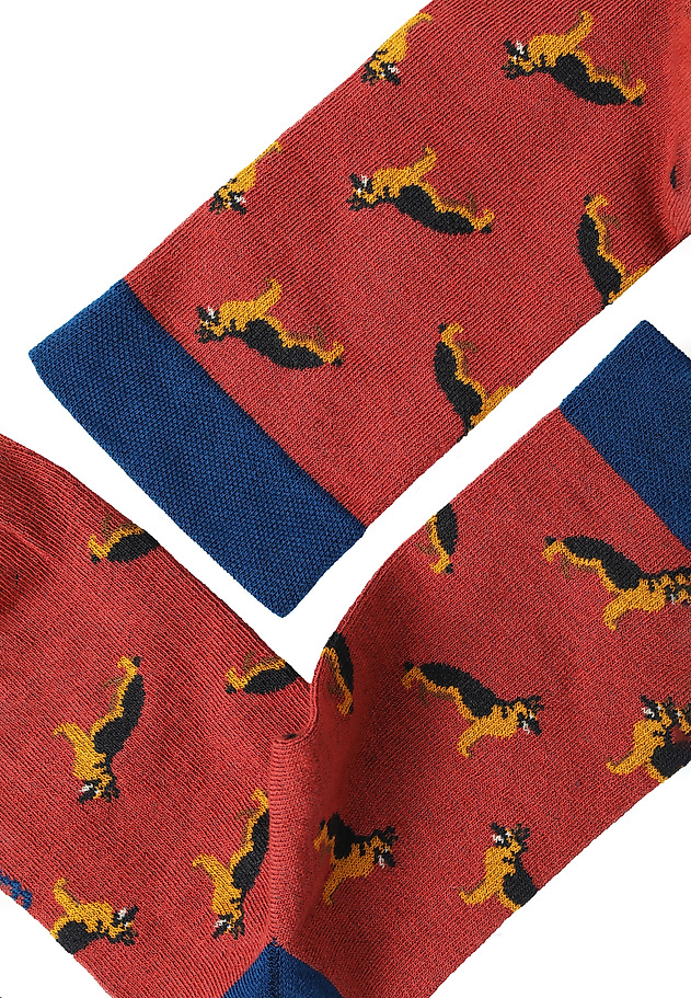 MEN'S SOCKS – AKITA MEN'S SOCKS – AKITA MULTICOLOR 2