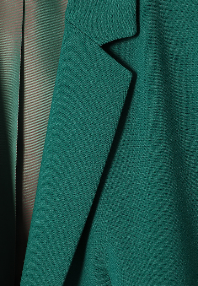 BLAZER CLASIC CU GULER ÎN FUND - RAMONA BLAZER CLASIC CU GULER ÎN FUND - RAMONA VERDE 8
