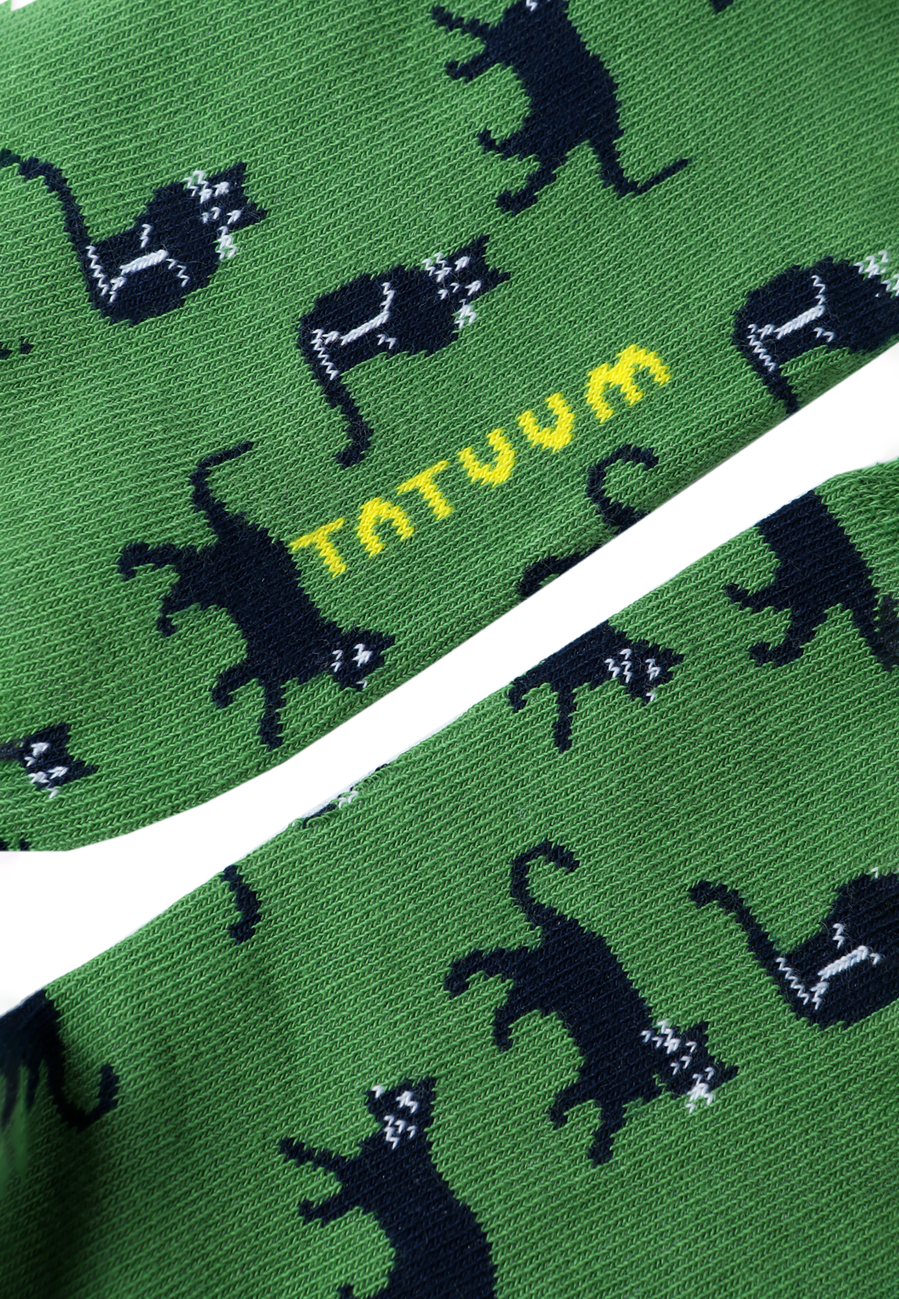 PÁNSKE PONOŽKY KATEN