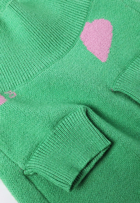PULOVER PENTRU CÂINE MANTI – DOGETHER VERDE 2