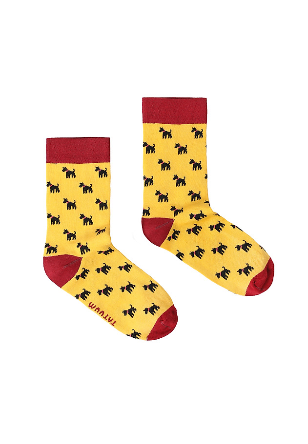 ȘOSETE DE DAMĂ – TAILY ȘOSETE DE DAMĂ – TAILY MULTICOLOR 1