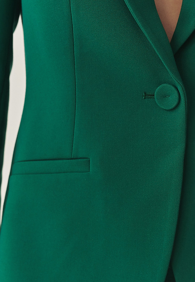 BLAZER CLASIC CU GULER ÎN FUND - RAMONA BLAZER CLASIC CU GULER ÎN FUND - RAMONA VERDE 5