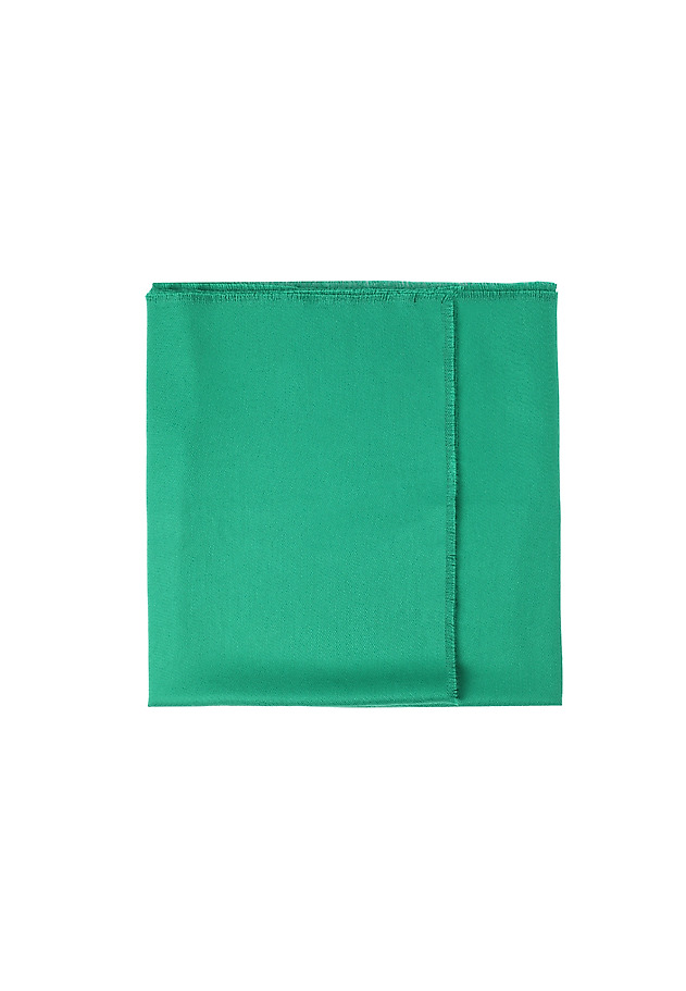 LADIES’ SCARF SENIA LADIES’ SCARF SENIA GREEN 3