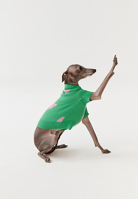 PULOVER PENTRU CÂINE MANTI – DOGETHER VERDE 2