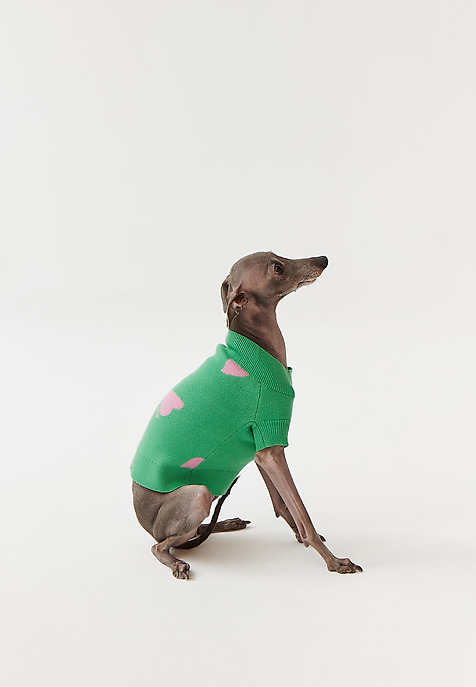 PULOVER PENTRU CÂINE MANTI – DOGETHER VERDE 2