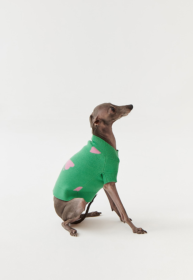 DOG JUMPER MANTI – DOGETHER DOG JUMPER MANTI – DOGETHER ZIELONY 4