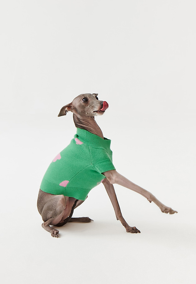 DOG JUMPER MANTI – DOGETHER DOG JUMPER MANTI – DOGETHER ZIELONY 6