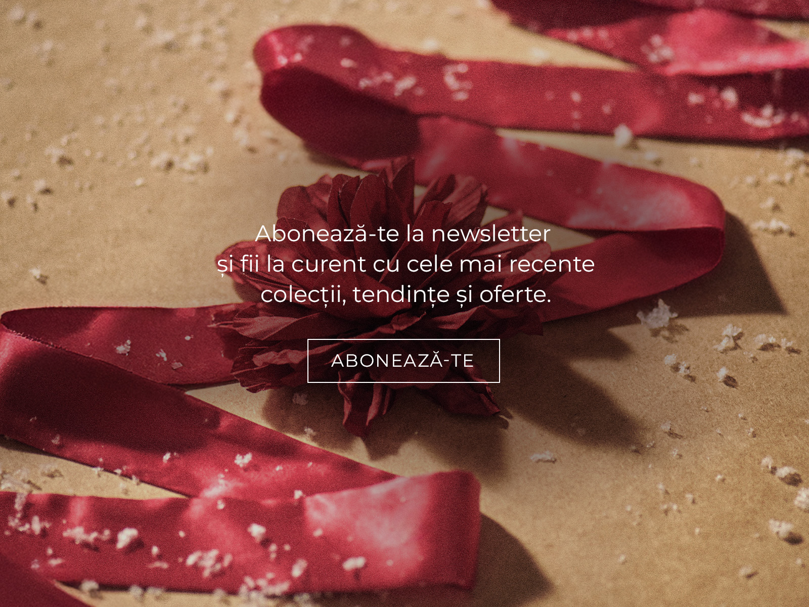 un banner și un text care încurajează oamenii să se aboneze la newsletter