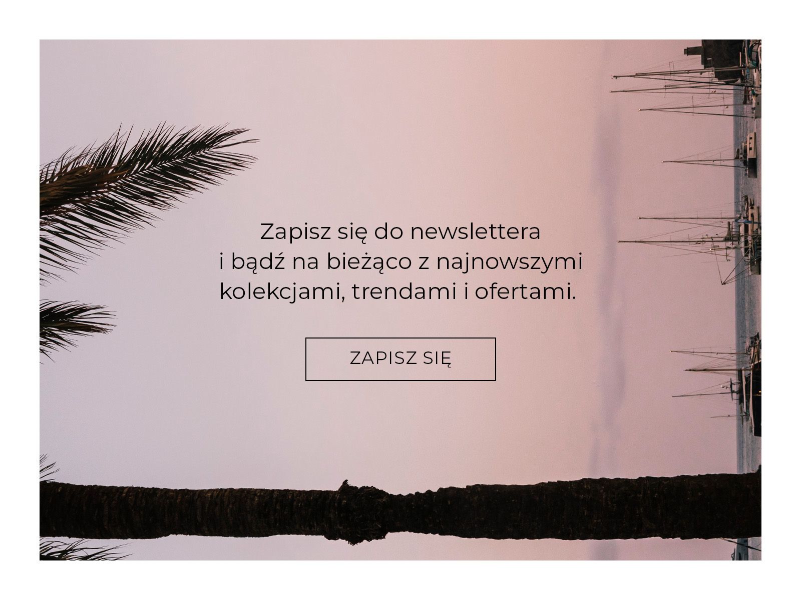 Tekst zachęcający do zapisu na newsletter na tle palm i pastelowego nieba o zachodzie słońca.