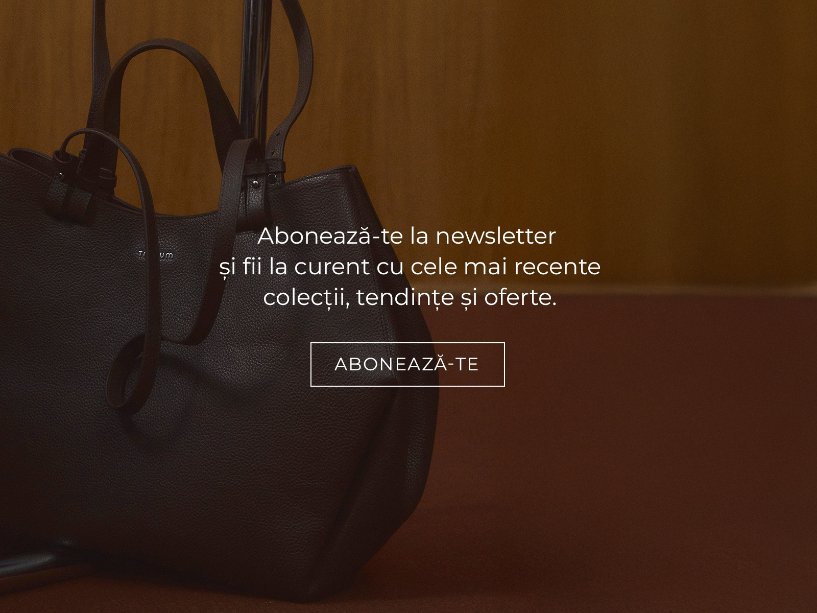 PUNGĂ ȘI MESAJ DE ÎNCURAJARE PENTRU ÎNSCRIEREA LA NEWSLETTER